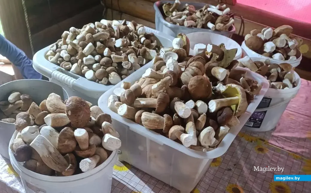 Знатный улов Григория Елинского из Бобруйска