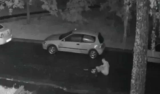 Могилевчанин «греб» ночью по асфальту и повредил чужую машину. Фото УВД