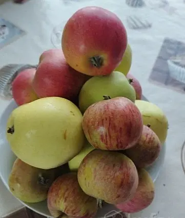 Яблоки сладкие.