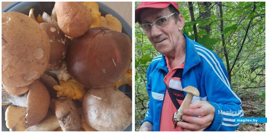 Трофеи Юрия Лагойко из Бобруйска.