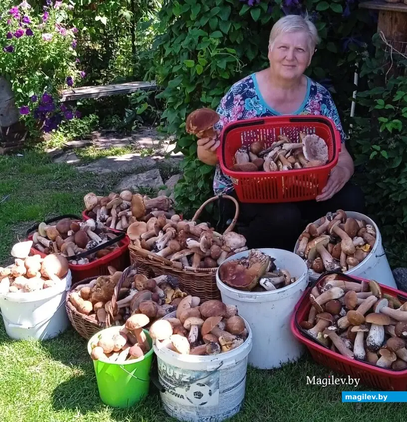 Улов бобруйчан Валентины и Василия Карликовых.