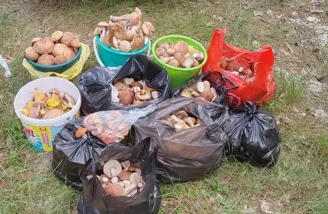 Трофеи Владислава Гугалова из Бобруйска.