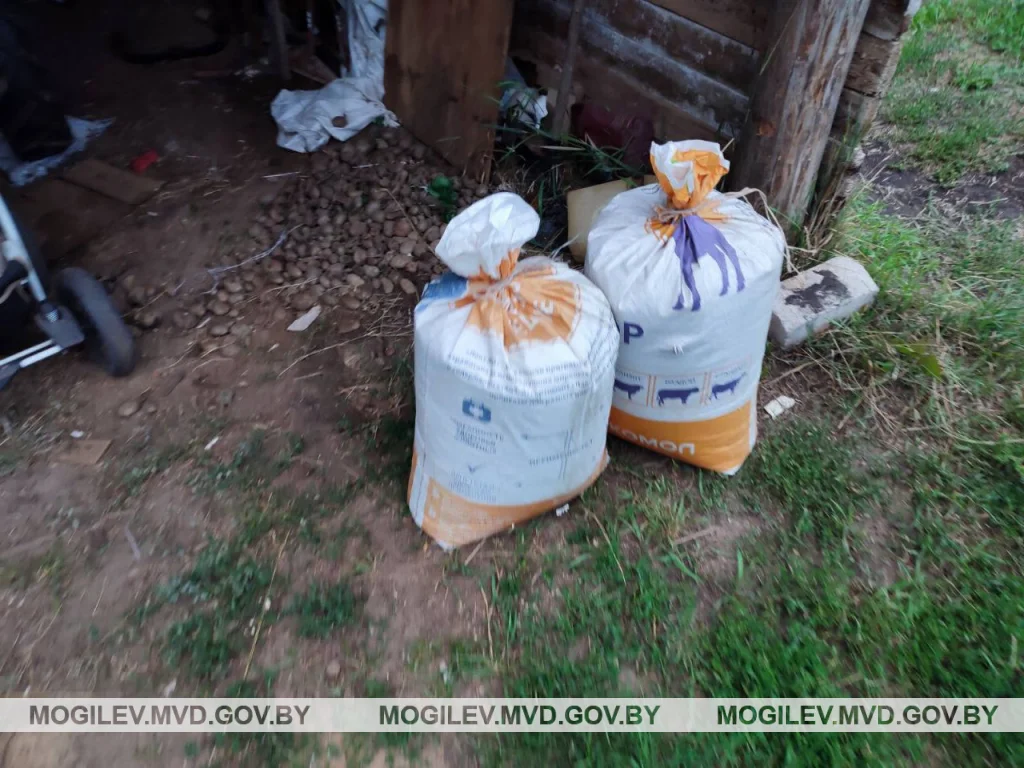 Фото: УВД облисполкома