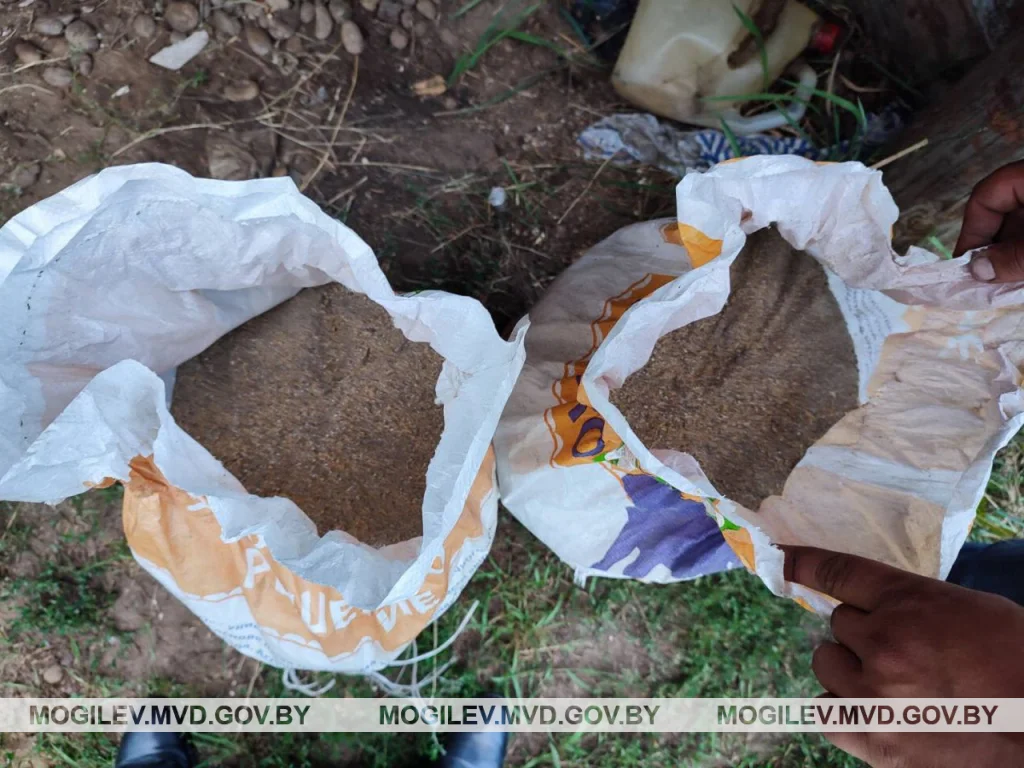 Фото: УВД облисполкома