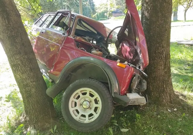 В Бобруйске угонщик не справился с управлением, «уходя» от ГАИ. Автомобиль застрял между деревьями