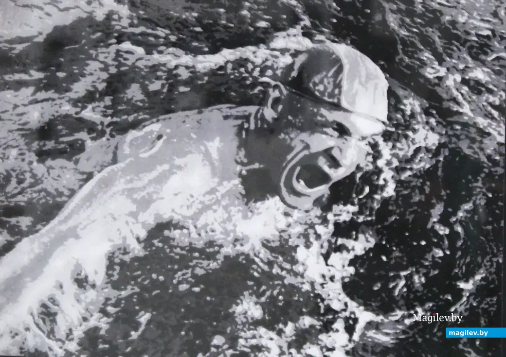 На выставке «Фотографика-73». Могилев. Музей Бялыницкого-Бирули. Август 2023-го. Работа Павла Кунина «Дельфин».