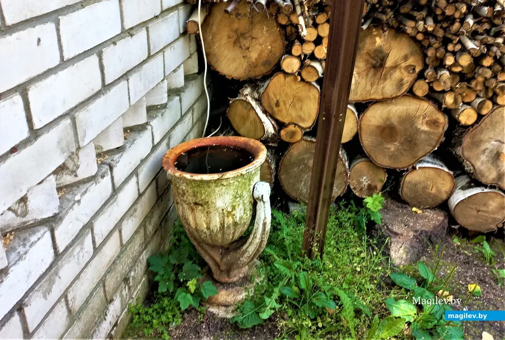 Наши урны молодости полнятся не только слезами людскими. Могилев, август 2023 года.