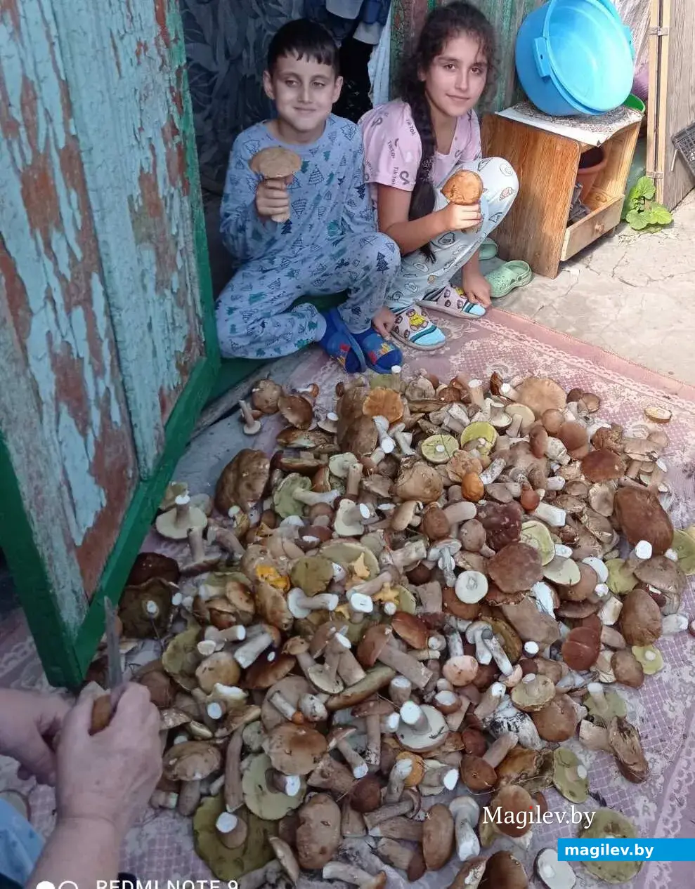 Фото Елены Кучеренко из Бобруйска.