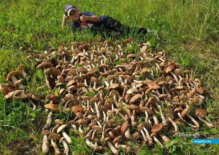 Фото Ивана Подчезерцева из Шклова. На снимке его сын Иван Иванович!