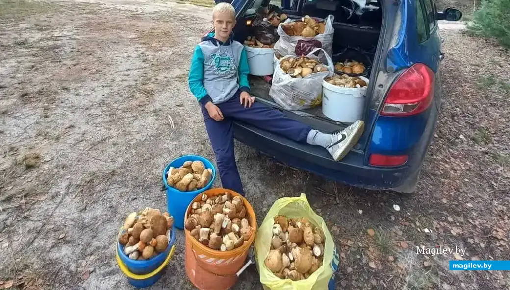Трофеи семьи Полибиных из Бобруйска.