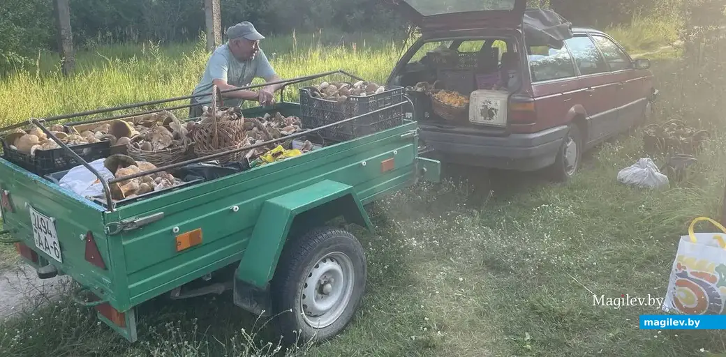 Завидный улов Михаила Харашуна из Бобруйска.