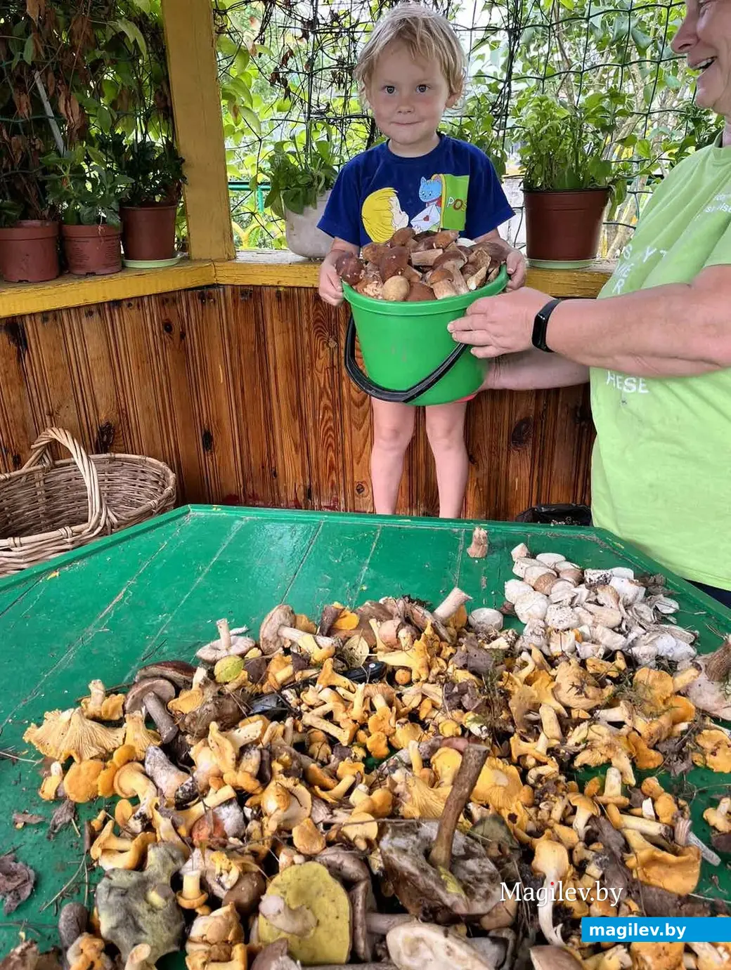 Снимок Алеси Захаревич из Бобруйска. На нем ее племянница Дана Фильченко.