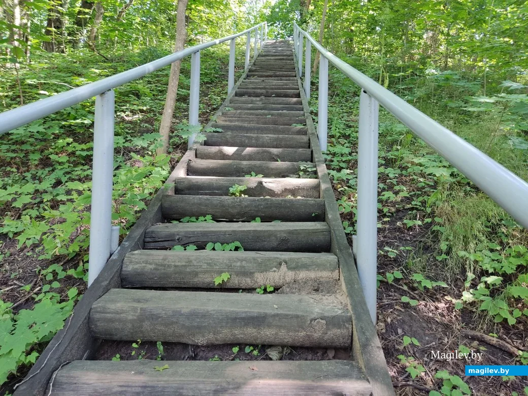 Славгород, на Замковой горе. 22.07.2023 г.