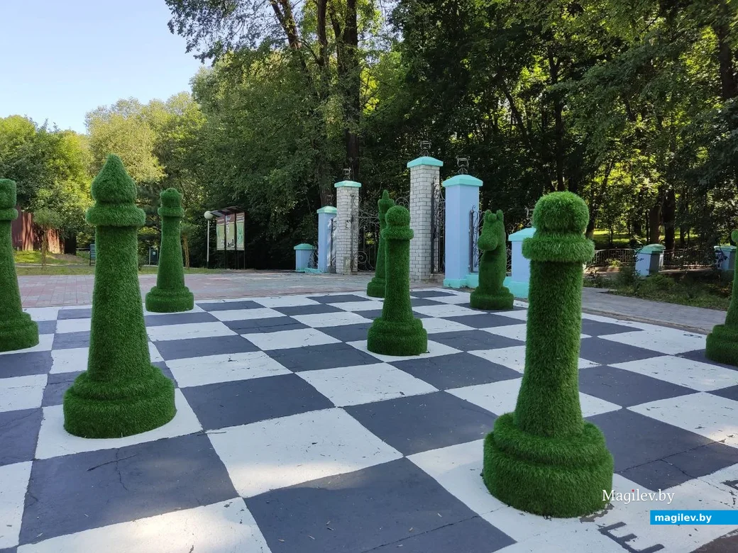 Славгород, на Замковой горе. 22.07.2023 г.