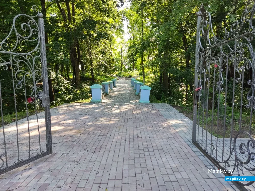 Славгород, на Замковой горе. 22.07.2023 г.