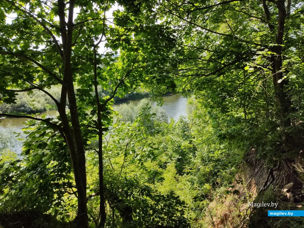 Славгород, на Замковой горе. 22.07.2023 г.