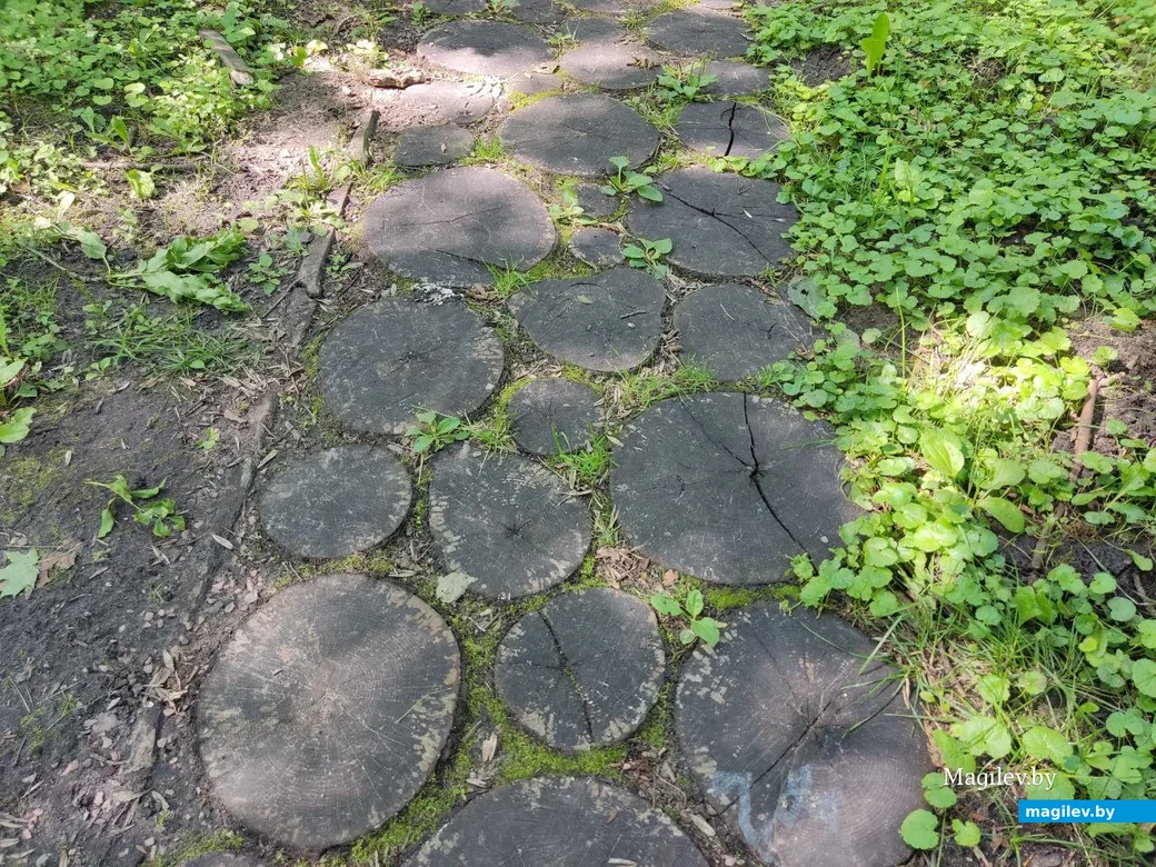 Славгород, на Замковой горе. 22.07.2023 г.