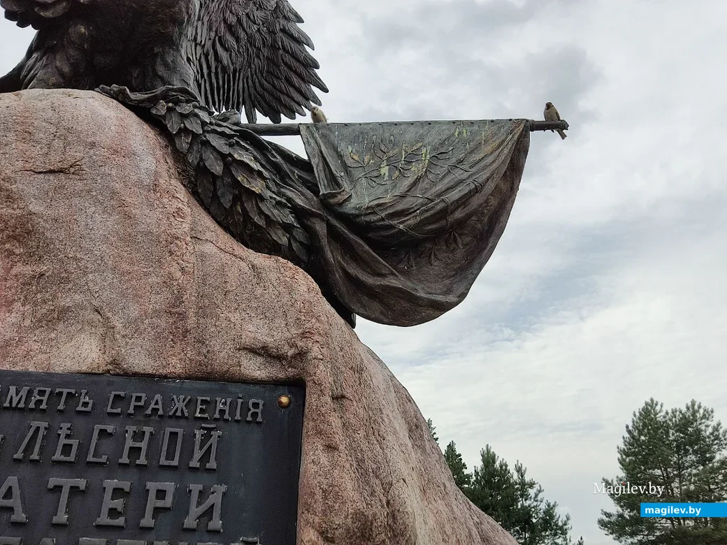 Агрогородок Лесная, Славгородский район. 22.07.2023 г.