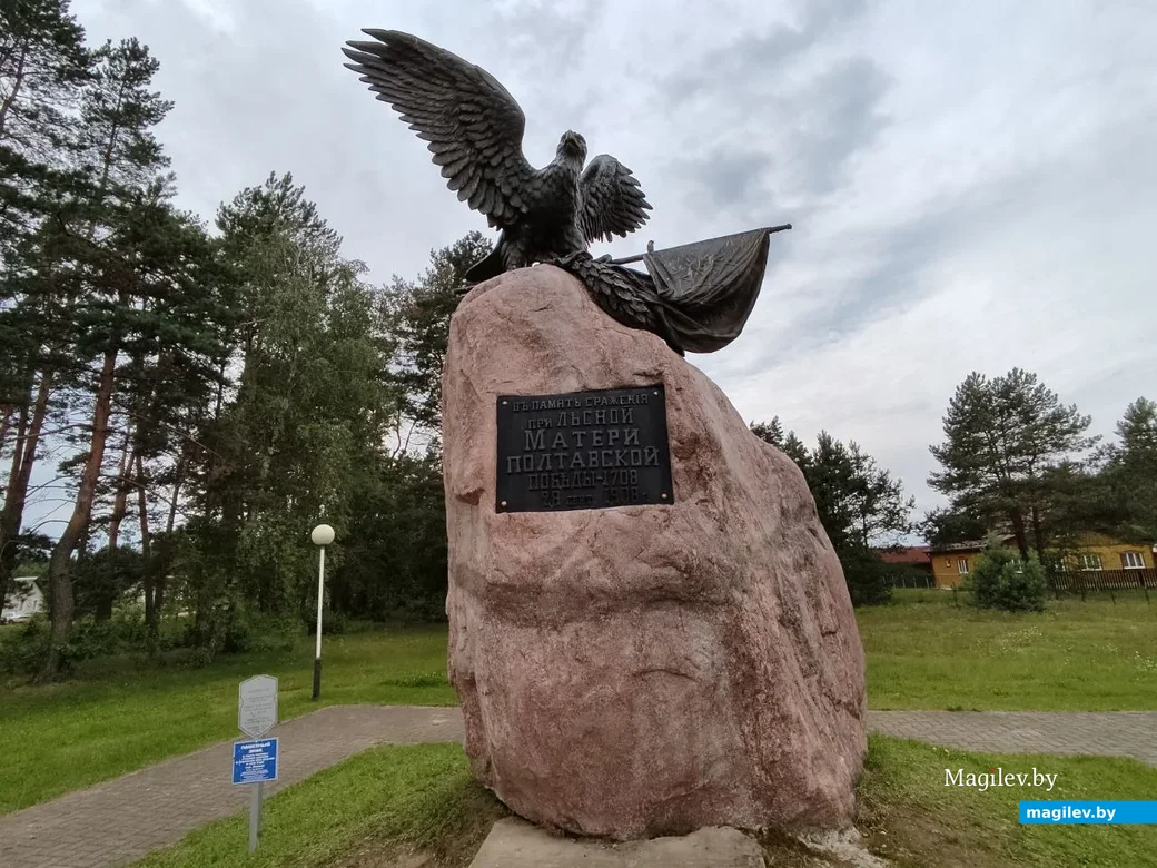 Агрогородок Лесная, Славгородский район. 22.07.2023 г.