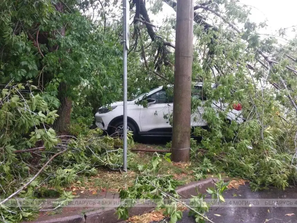 7 августа 2023 г. Последствия непогоды в Могилеве.