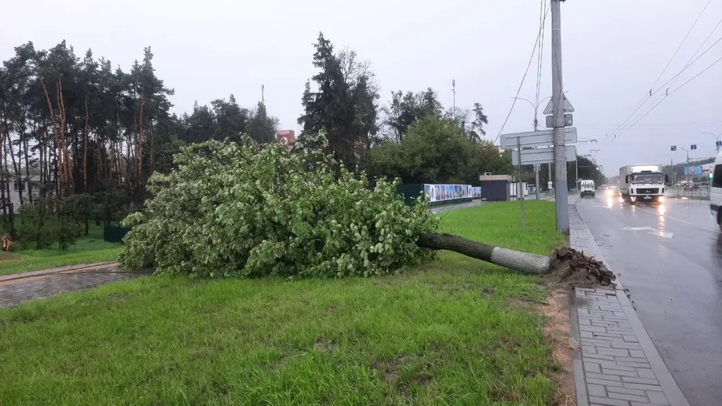 7 августа 2023 г. Последствия непогоды в Могилеве на ул.Крупской.