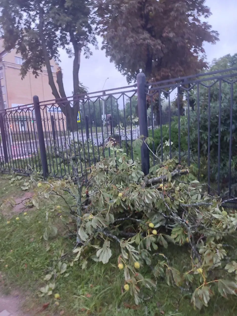 7 августа 2023 г. Последствия непогоды в Могилеве на Лазаренко.