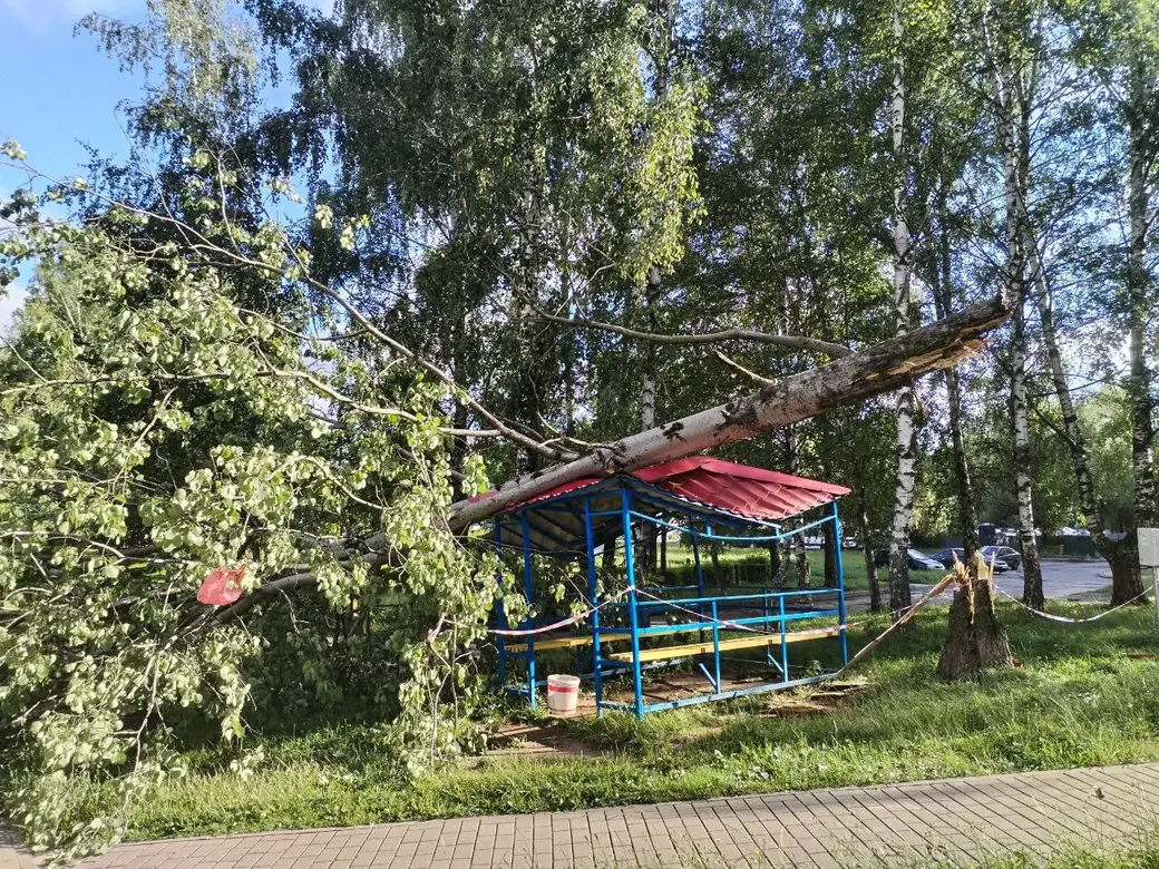 8 августа 2023 г. Последствия непогоды в Могилеве на Гришина.