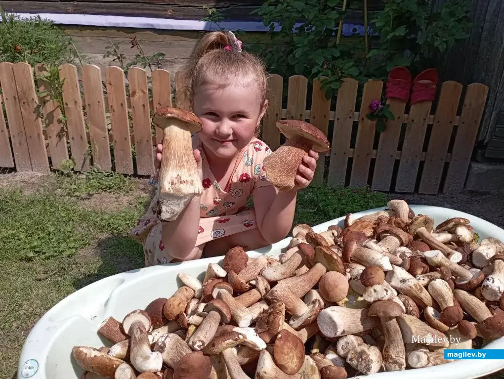 Фото семьи Колесник из Бобруйска.. На фото Милана.