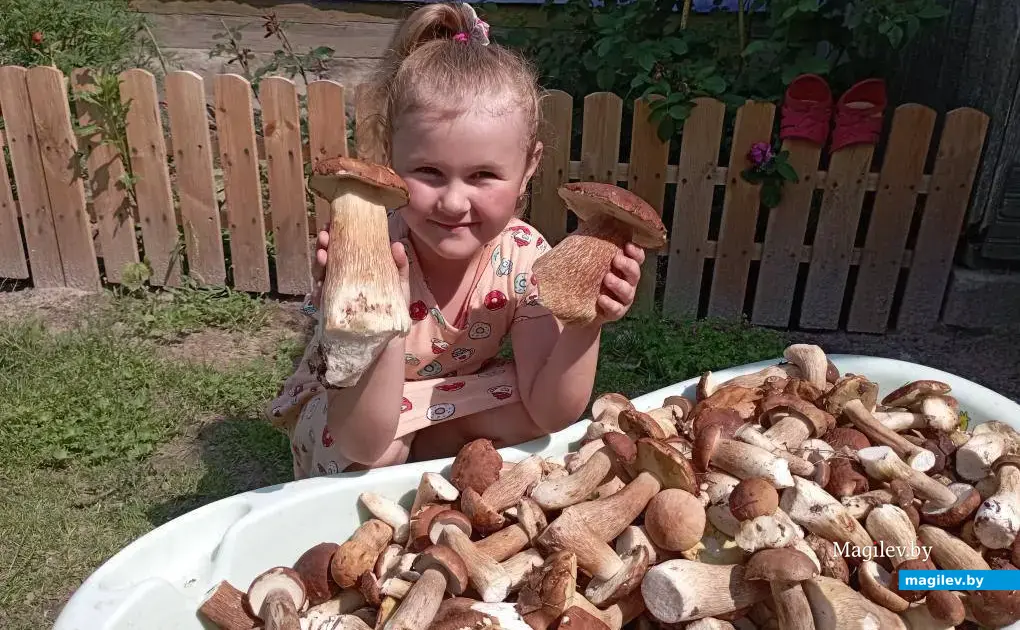 Фото семьи Колесник из Бобруйска.. На фото Милана.