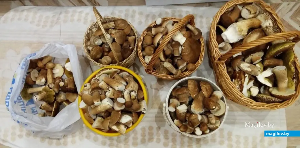 Фото бобруйчанина Михаила Шевчука. До...