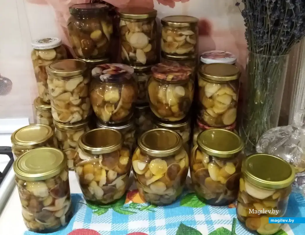 Фото бобруйчанина Михаила Шевчука. И после!