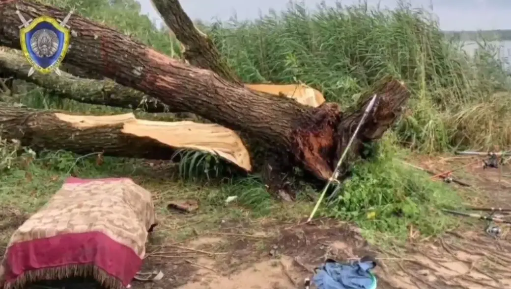 Скриншот видео СК.