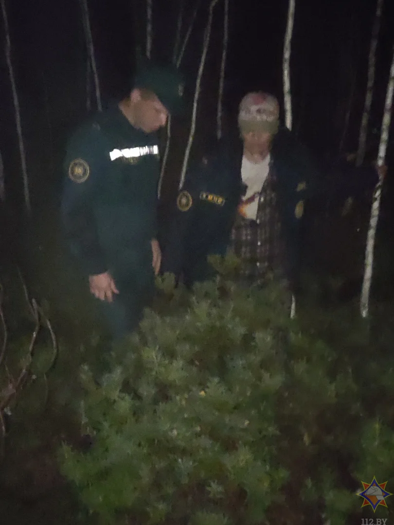 Женщина заблудилась лесном массиве неподалеку от деревни Станция Ясень Осиповичского района. Фото: МЧС Республики Беларусь.