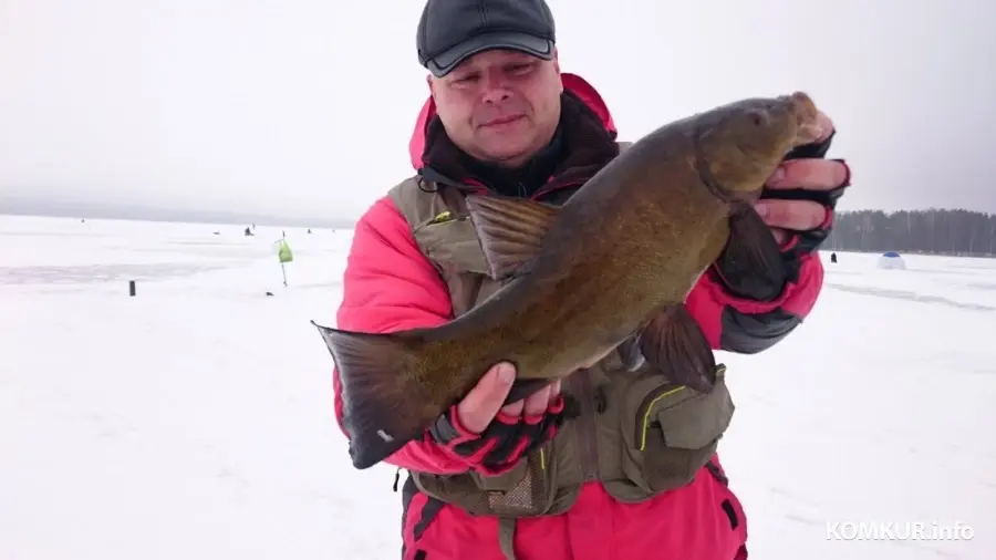 Невероятный зимний линь Сергея Сапрыкина.