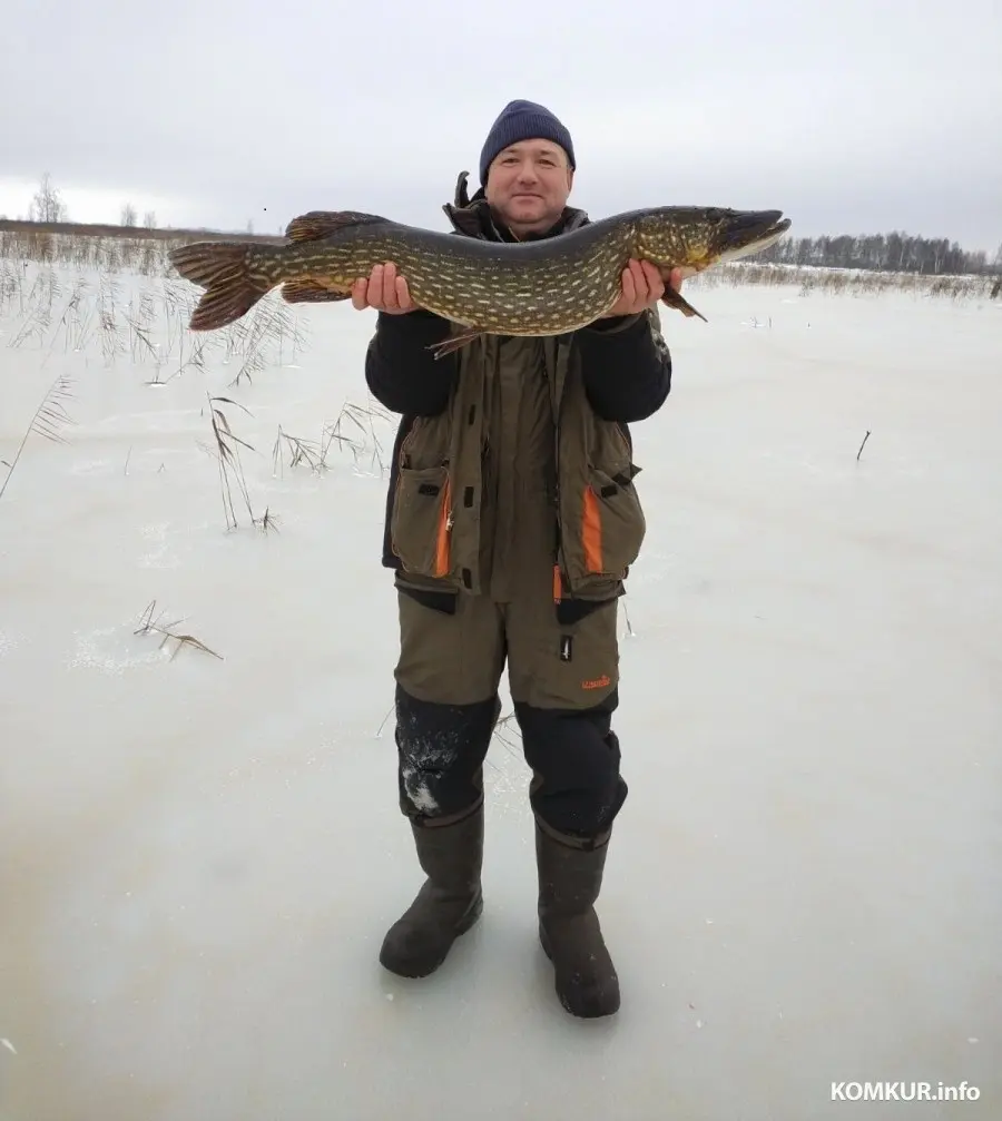 Рыбак Виктор: «А вам слабо такую щуку поймать?» Вес улова – 5 кг.