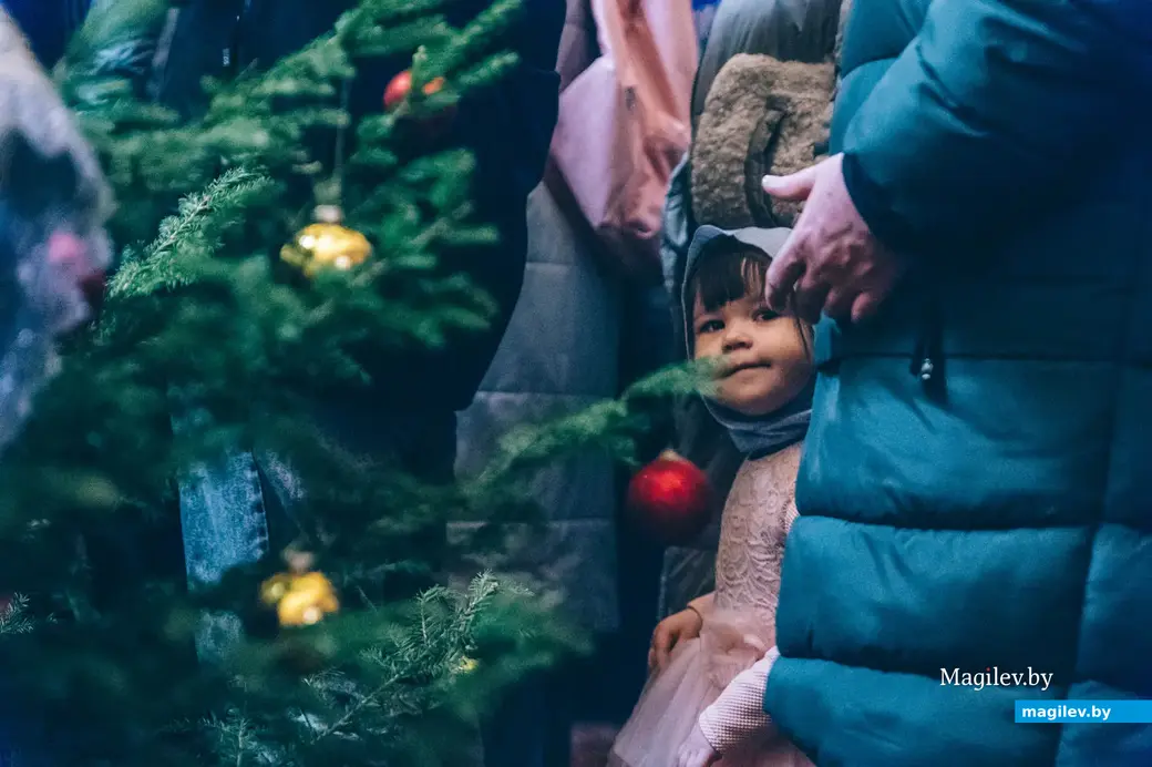 Храм Святого пророка Илии на Луковой горе в Бобруйске. 6-7 января 2024 года. Рождество Христово.