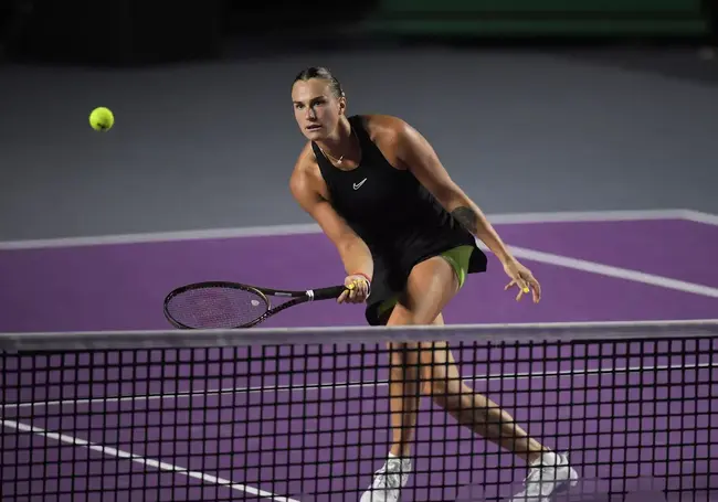 Арина Соболенко проиграла Елене Рыбакиной в финале турнира в Брисбене