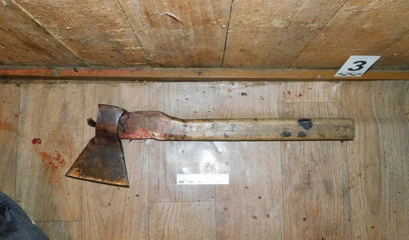 Фото: УГКСЭ по Могилевской области