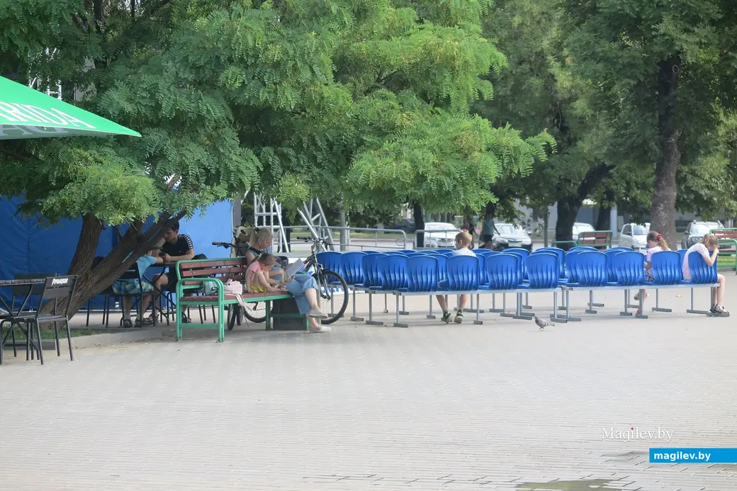 Август 2023 г. Могилев, сквер 40-летия Победы.