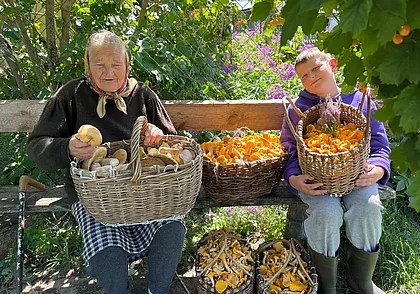 Подводим итоги конкурса «Грибалка удалась!»