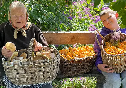 21 кг лисичек, 595 боровиков из Петровичей и грибы-фотомодели