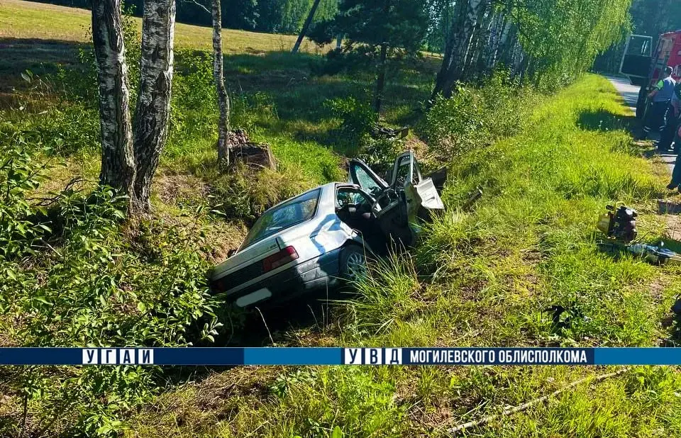 Хотимский район, д. Липовка, 10.08.2023 г. Фото: УГАИ УВД Могилевского облисполкома.