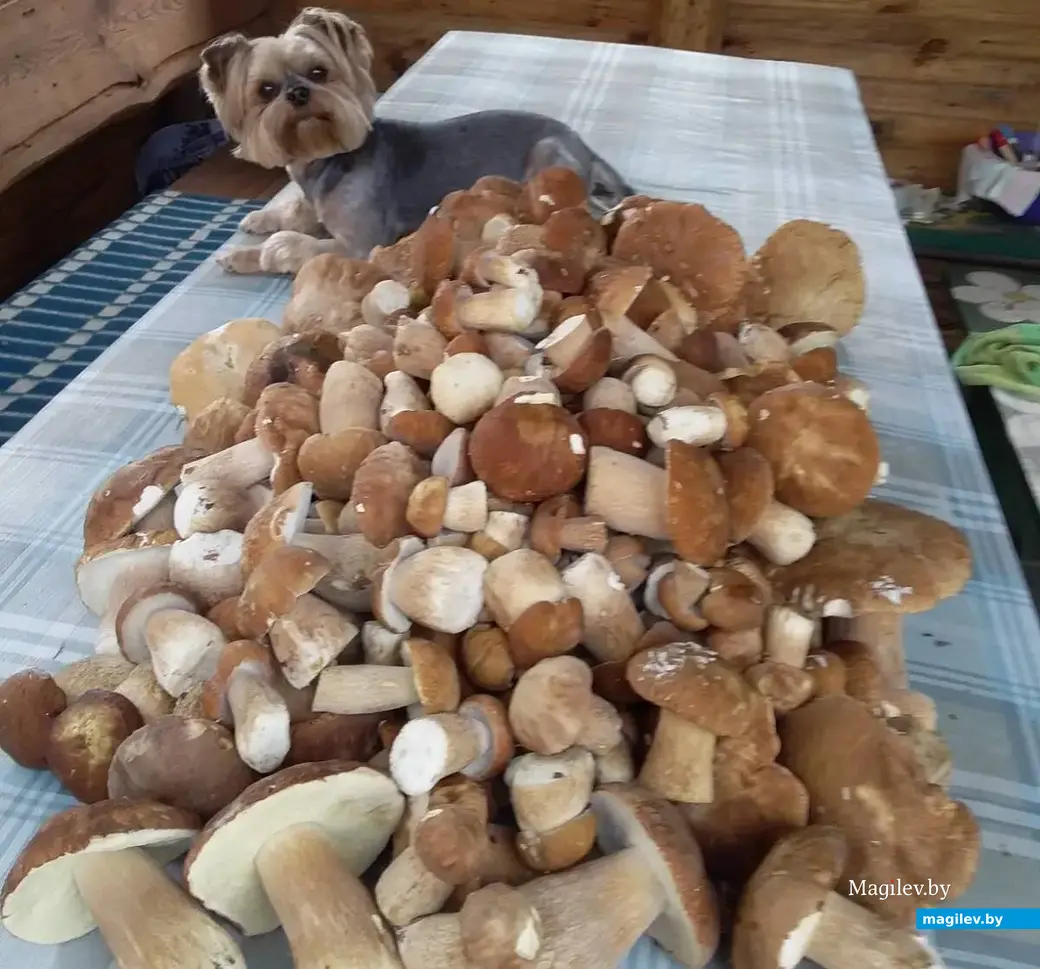 Фото Татьяны из Бобруйска.