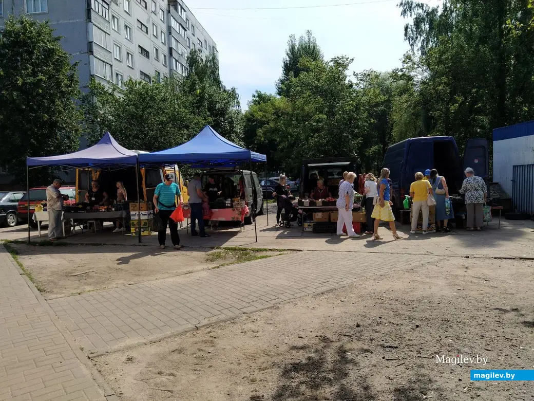 Фермерские ряды рынка по улице Островского. Могилев, август 2023 год.