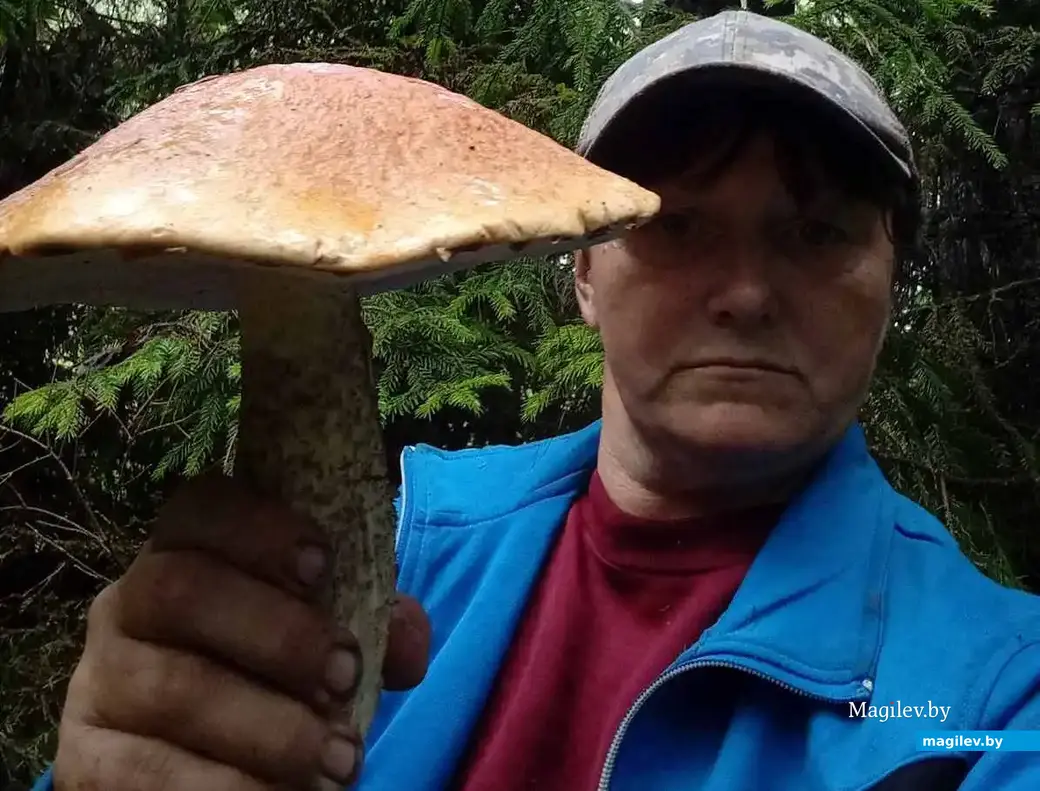 Подосиновик весом 800 грамм! Улов Ольги Фесько из Кличева.