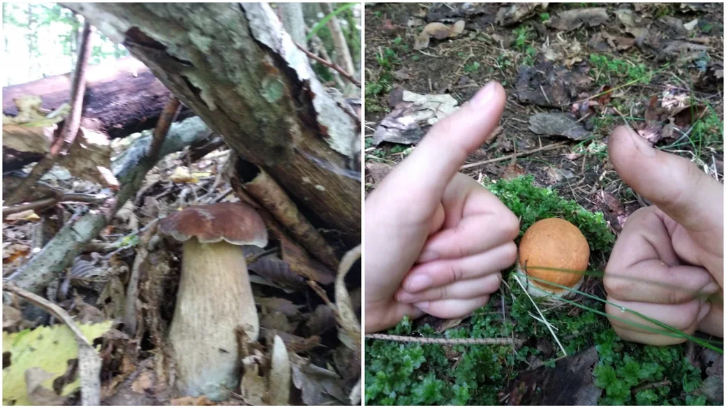 Трофеи Елены Михолап из Минска.