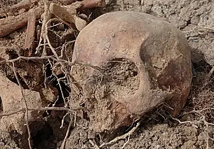 В Дзержинске на стройке нашли более сотни человеческих останков. Видео