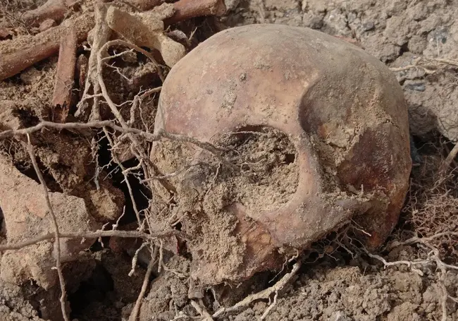 В Дзержинске на стройке нашли более сотни человеческих останков. Видео