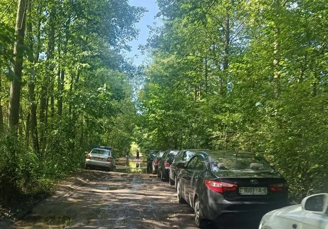 Пробка в лесу: возле Дубовки под Бобруйском колонна авто остановилась перед огромной лужей