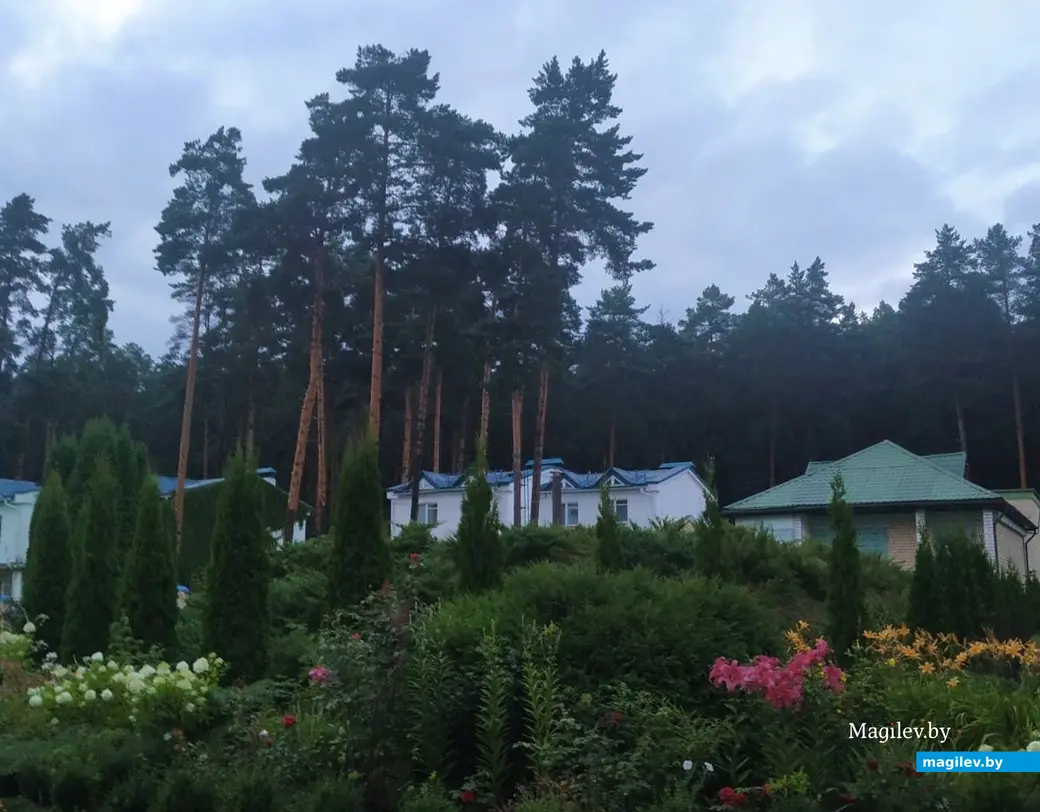 Гостям понравилась большая территория санатория.